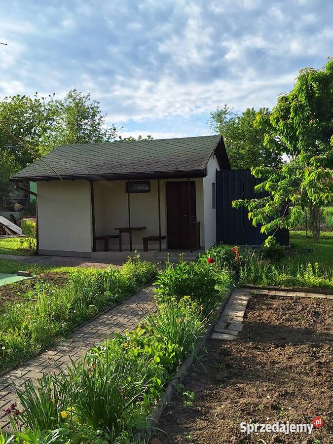 Działka rekreacyjna Rod Rozkwit Wodzisław Śląski