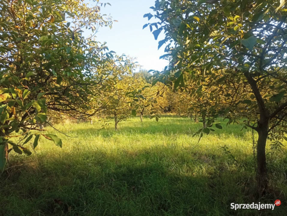 Wyjątkowa działka w sercu natury Albigowa 77