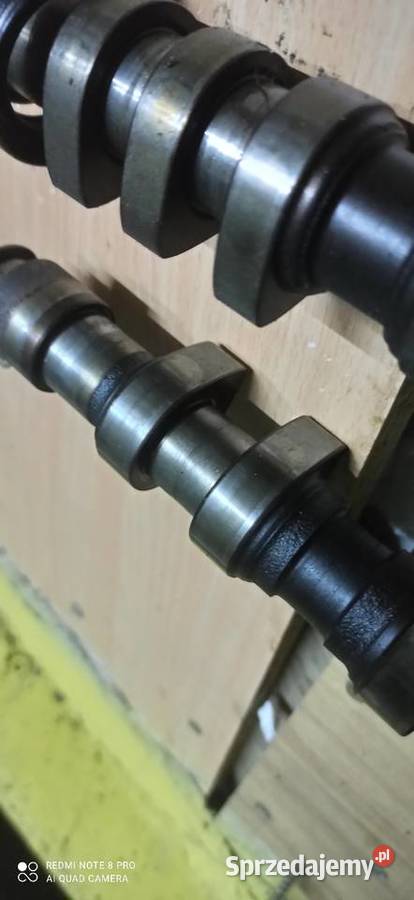 Wałki rozrządu 18 T AUQ Biała