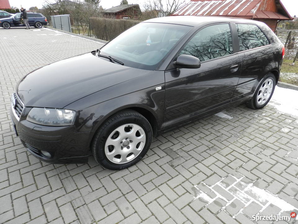Audi A3 8P 16 Benzyna Xenon Skóra Pierwszy VAT marża Samochody osobowe