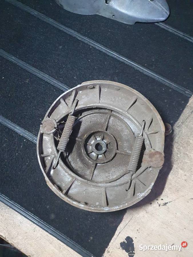 Szczękotrzymacz pannonia panonia Szczęki Luzino