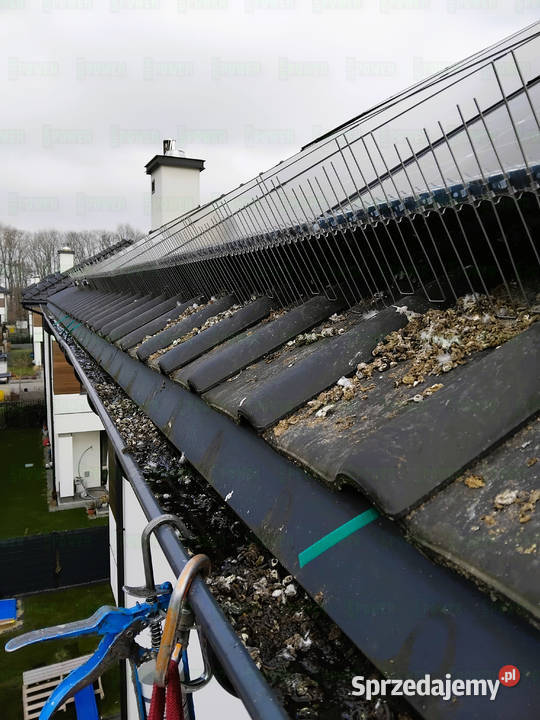 Ochrona systemów fotowoltaicznych przed ptakami Warszawa