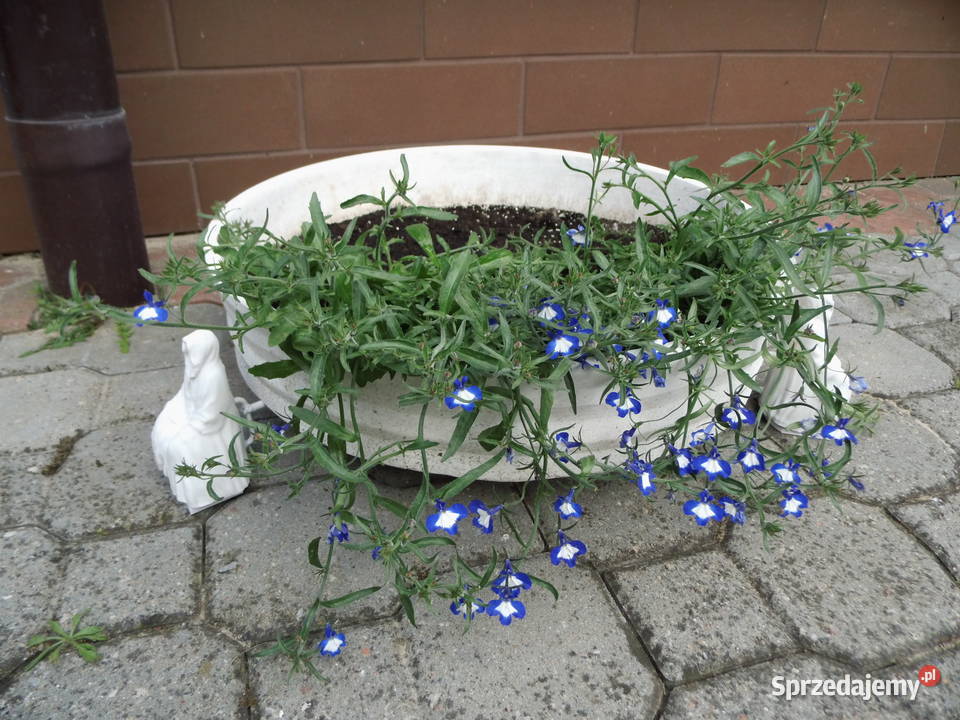 Cementowe figurki Film Radzewice