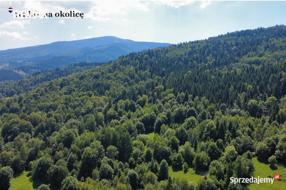 Działka 2262 m z widokiem na góry śląskie Krzyżowa