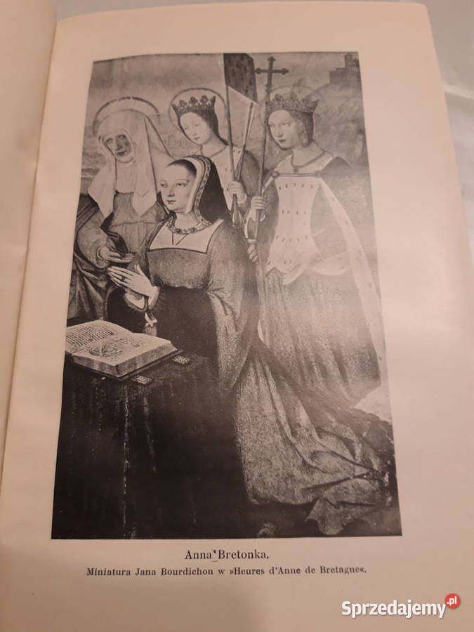 Ostatni Walezyusze K Chłędowski 1920 opr Antykwariat wielkopolskie