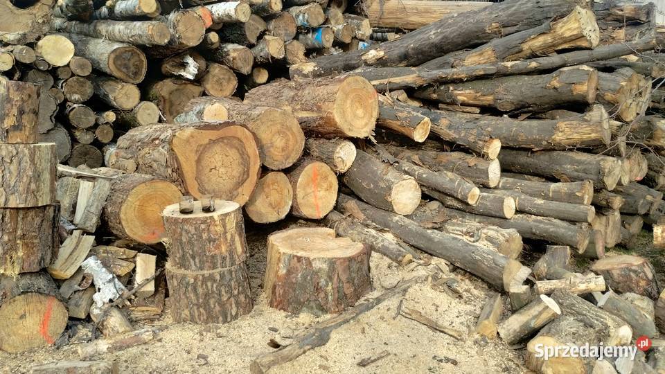 Drzewo drewno opałowe kominkowe rozpałkowe Koziegłowy