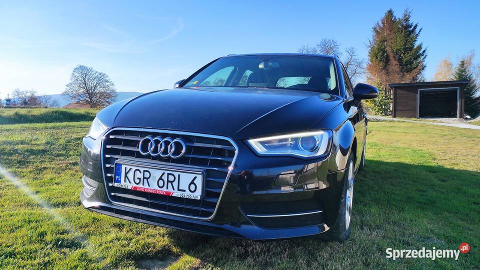 Audi A3 8V 2013 1.6 TDI