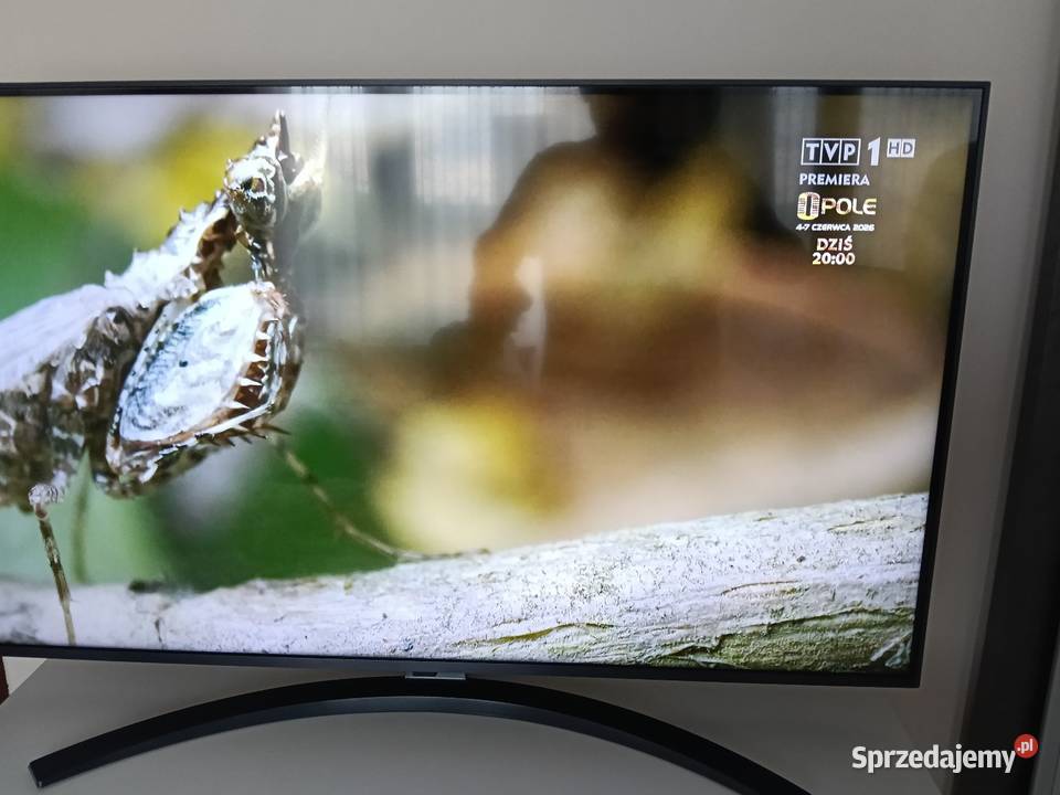 Telewizor LG Smart 43 cale Bieruń