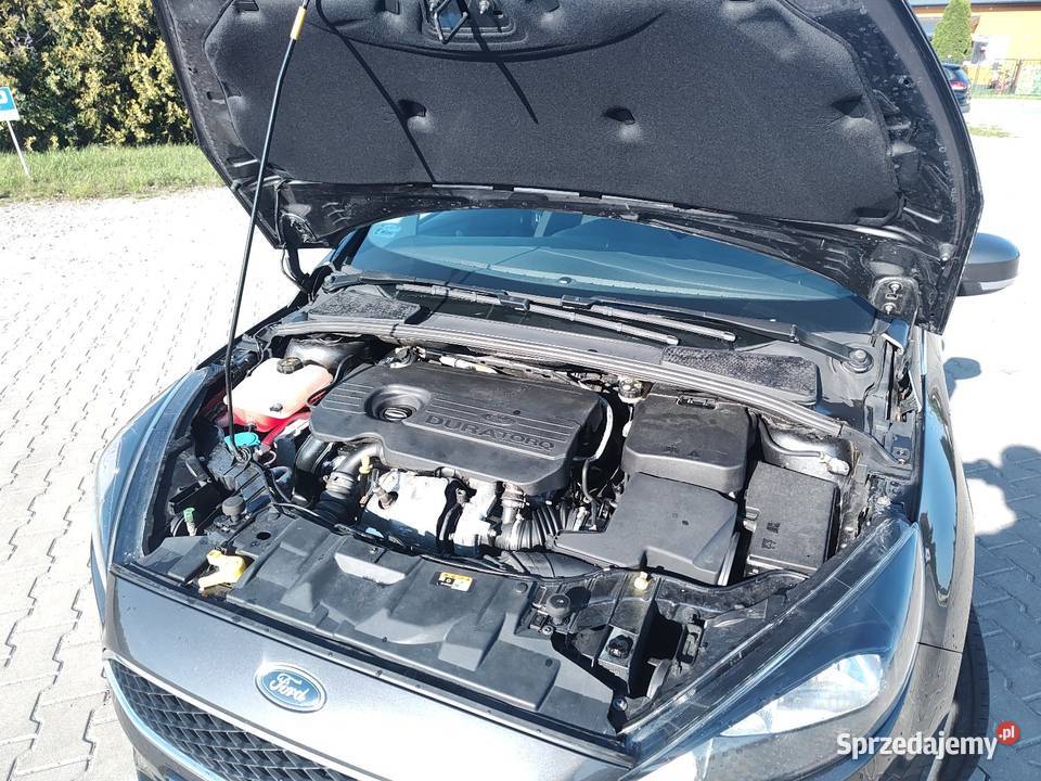 Focus 15tdci 120 2018 salon Polska diesel Rawa Mazowiecka