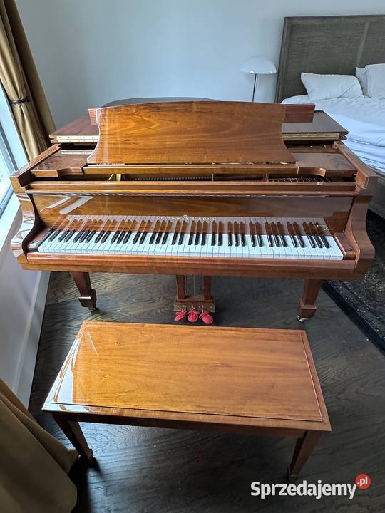 Steinway Grand Piano Model A Crown Jewel Warszówka