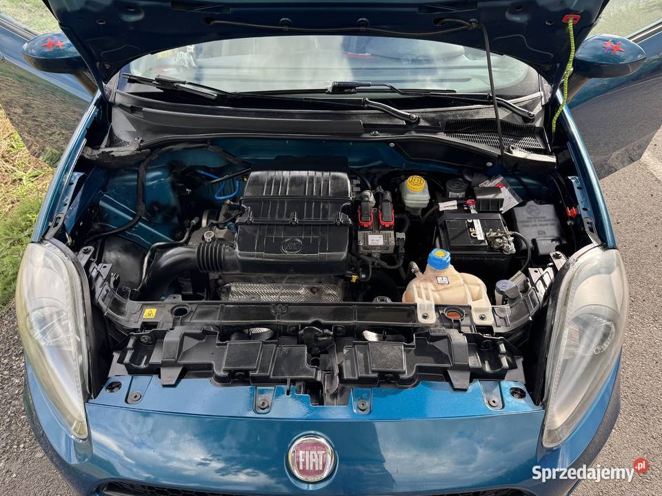 Fiat Punto EVO Liftingu KOBIETY w Golasowice