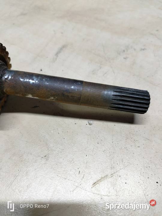 Komar jajko wałek startera Łubno