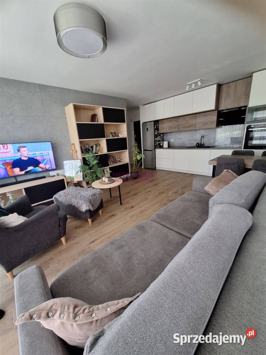 wynajmu mieszkania 545m2 3 pokoje Rybnik parter