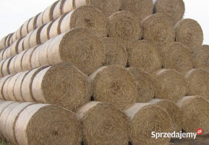 Sprzedam słomę w belach 120