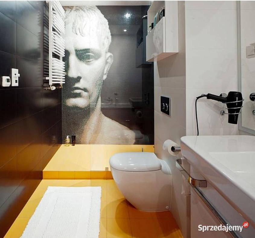 Mozaika szklana obraz Bonaparte 1460 x 2900 mazowieckie Warszawa sprzedam