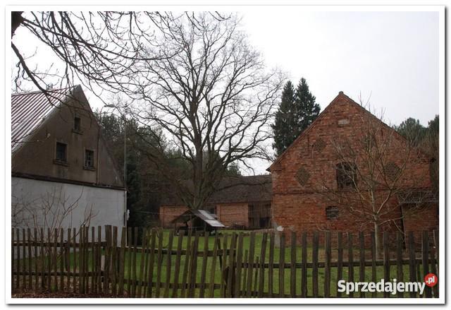 sprzedaży domu 100m2 Prądówka wielkopolskie Prądówka