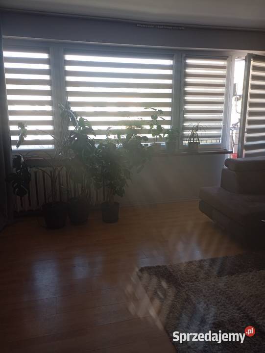 Sprzedam m4 Piętro 2 Kleszczele