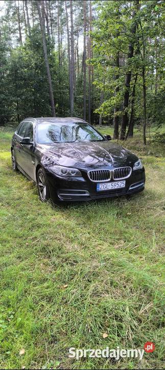 BMW F11 2013 Benzyna 184 Stan zamienię Seria 5 zachodniopomorskie Przybiernów sprzedam