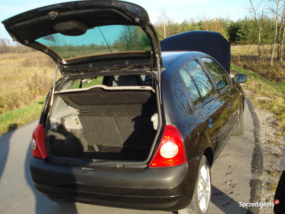 Renault Clio 2 INITIALE PARIS podkarpackie benzyna Kamień