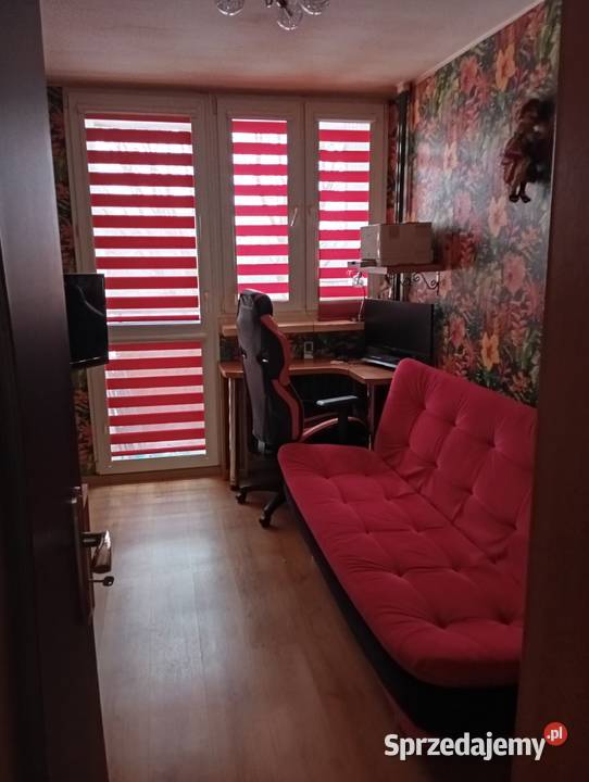 Mieszkanie do wynajęcia łódzkie Łódź