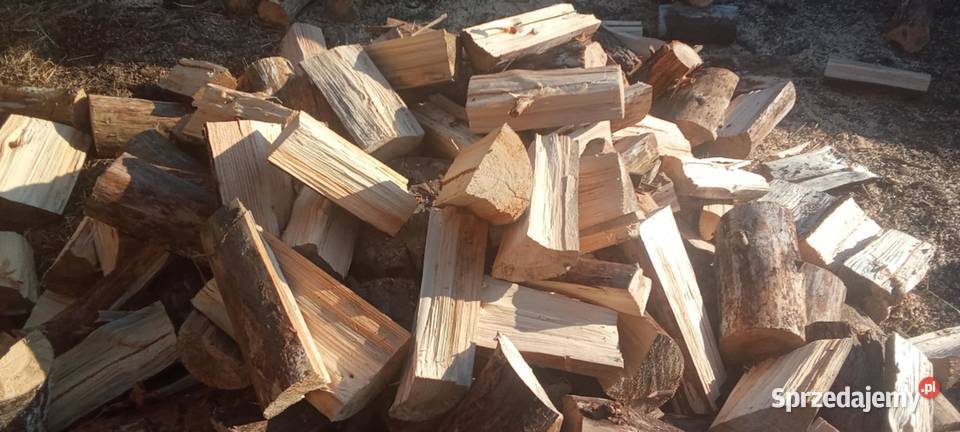 Drewno Opałowe Sosna pomorskie Tychnowy
