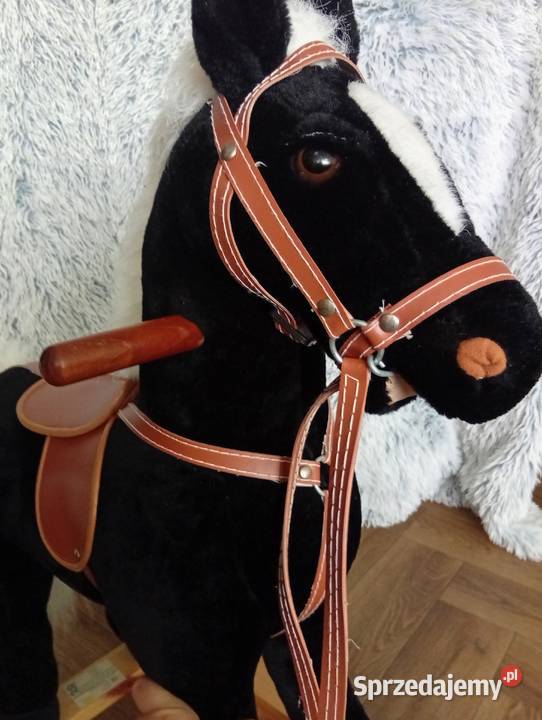 Konik na biegunach Bronisławka