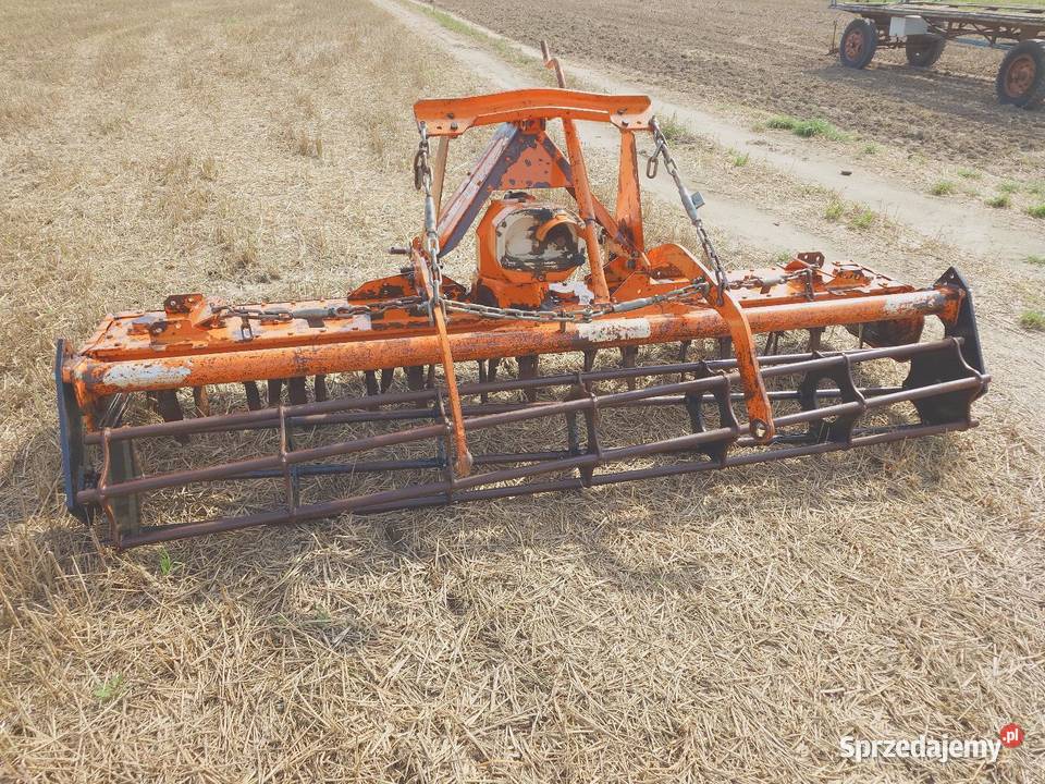 Brona Aktywna Maschio Brony Korfantów sprzedam