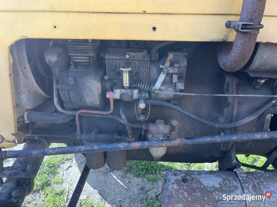 Sprzedam Ursus C4011 Pieszyce