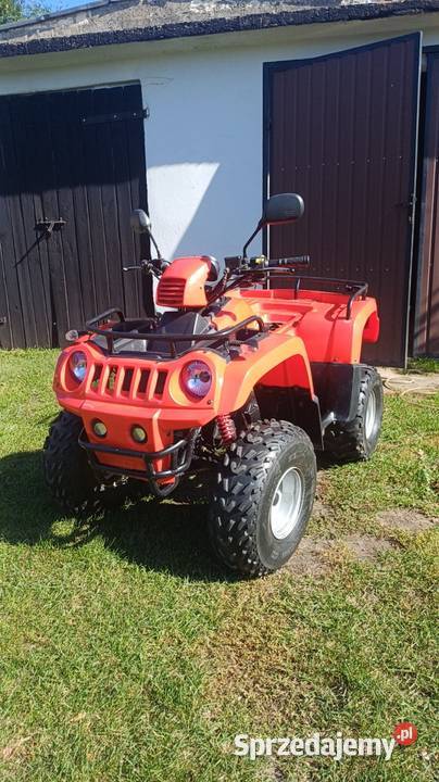 Zipp AIE Quad 50cc 2t zarejestrowany okazja dwusuwowy Motoryzacja wielkopolskie
