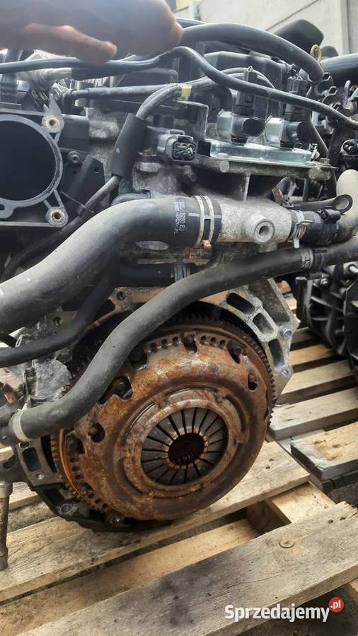 QQDB silnik 18 16V Ford Mazda 229 dolnośląskie