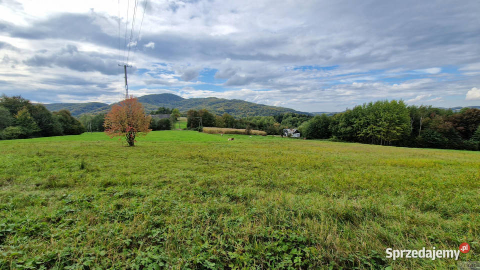 Działka Zegartowice 4000m2