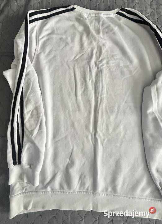 Bluza Adidas Warszawa