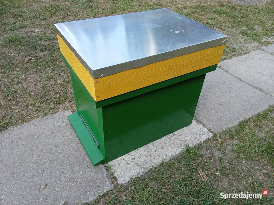 odkładowy wielkopolski 6ramkowy z powałką Świdwin