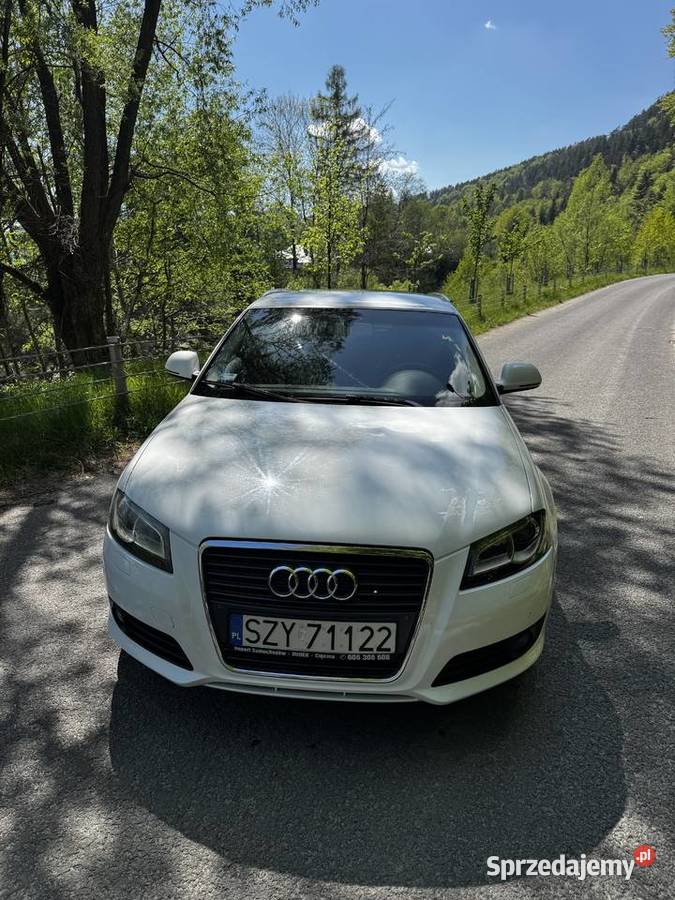 Audi A3 20 TDI COMMON RAIL Cisiec
