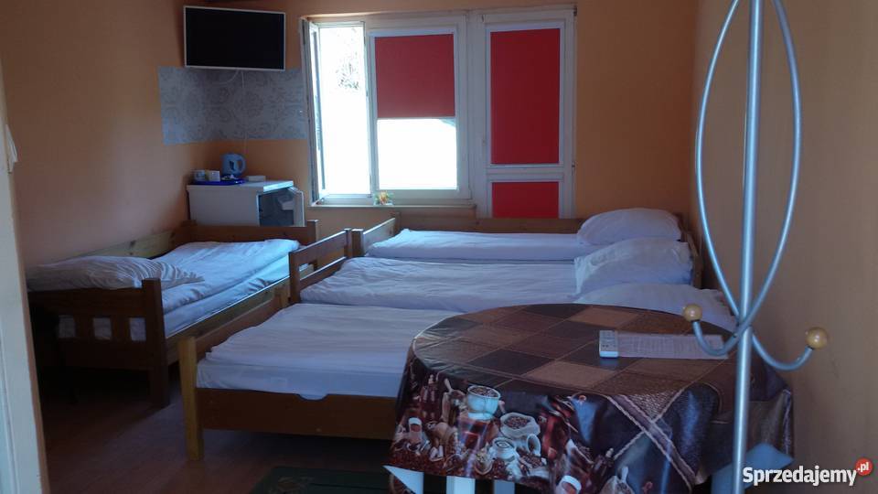 wynajem pokoi Wakacje i podróże Płock