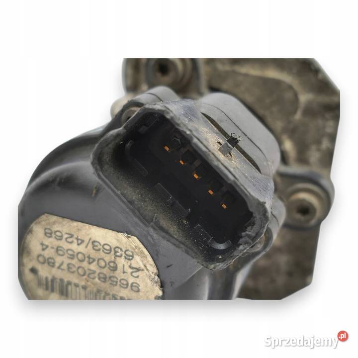 ZAWÓR EGR Citroen C4 C5 Peugeot 307 407 Ford 20 Chełm