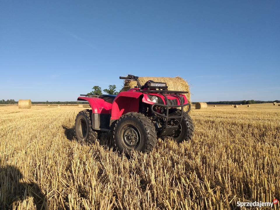 Yamaha Bruin 350 4x4 Grizzly Kodiak Yamaha pomorskie Słupsk