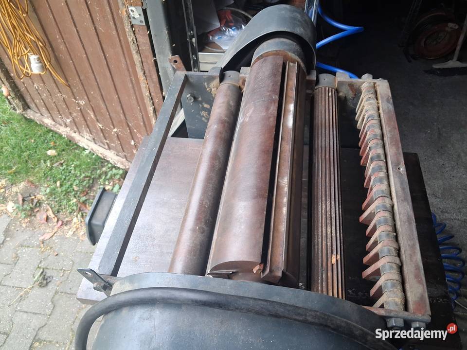 Grubościówka Brzeg