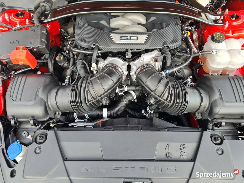 Ford MUSTANG V8 480 cabrio sprzedam