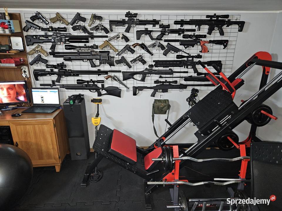 SigSauer Sig Sauer MCX 45 CO2 śrut Gostynin