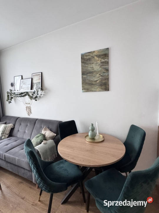 Gotowe do zamieszkania 2pok mieszkanie 41 m Piętro 1 Warszawa