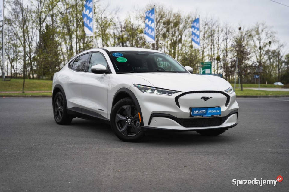 Ford Mustang MachE Standard Range RWD SUV Zabrze