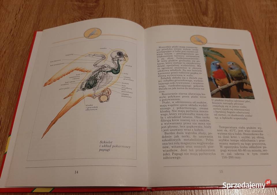 Papugi i papużki Eva Maria Bartenschlager Bądkowo