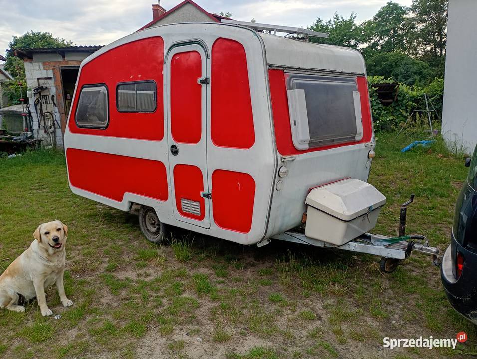 Sprzedam Niewiadów n132 Wieloryb zarejestrowany Tarnobrzeg sprzedam