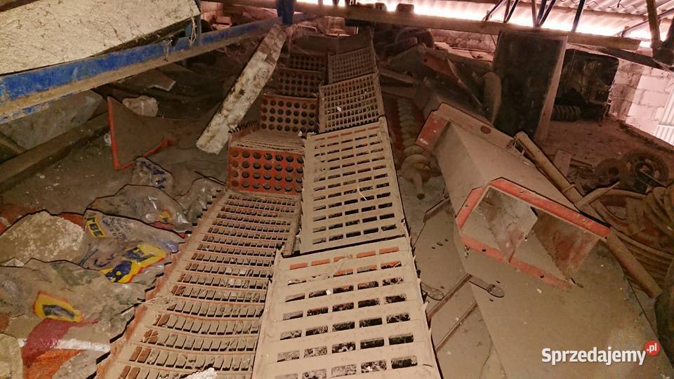 wytrząsacz bizon 56 Nowy Dwór