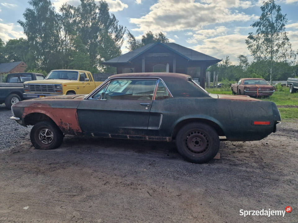 Ford Mustang Ford Mustang Coupe 1968 516 Rok produkcji 1968 lubuskie
