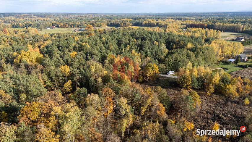 Grunt 9100m2 Kamionka asfalt Sprzedaż