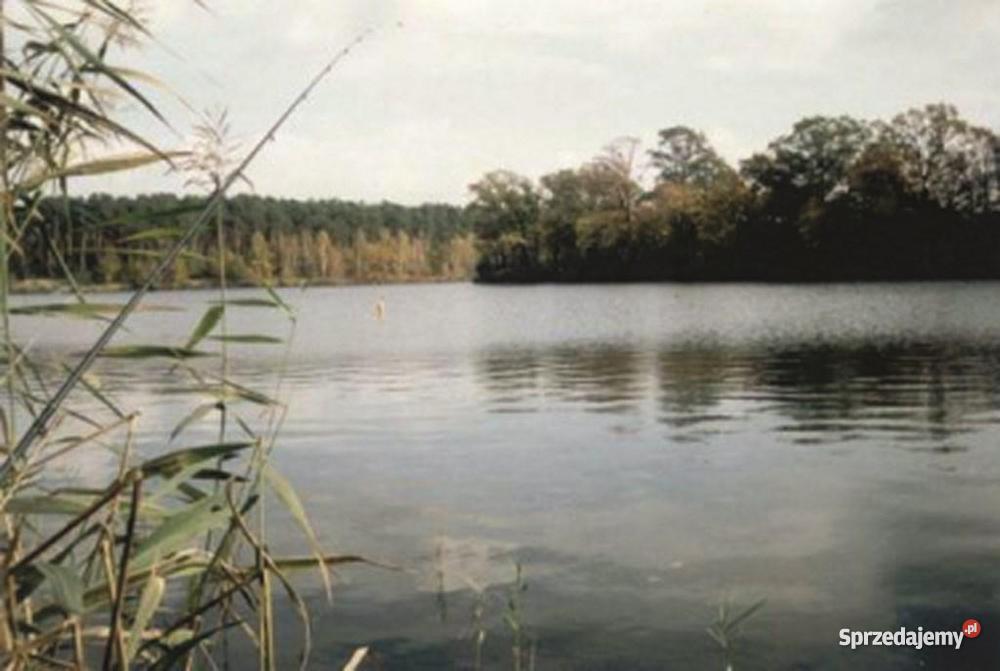 Zalew Gołuchów duża działka budowlana w Czermink Czerminek