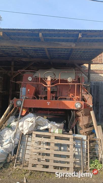 Sprzedam Bizona i Rekorda Bolesławiec sprzedam