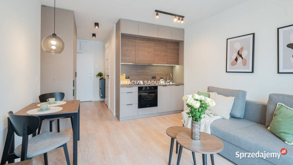 Mieszkanie na wynajem 251m2 1 pokojowe Kraków małopolskie